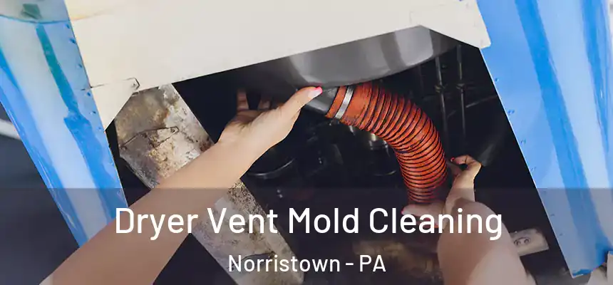 Dryer Vent Mold Cleaning Norristown - PA