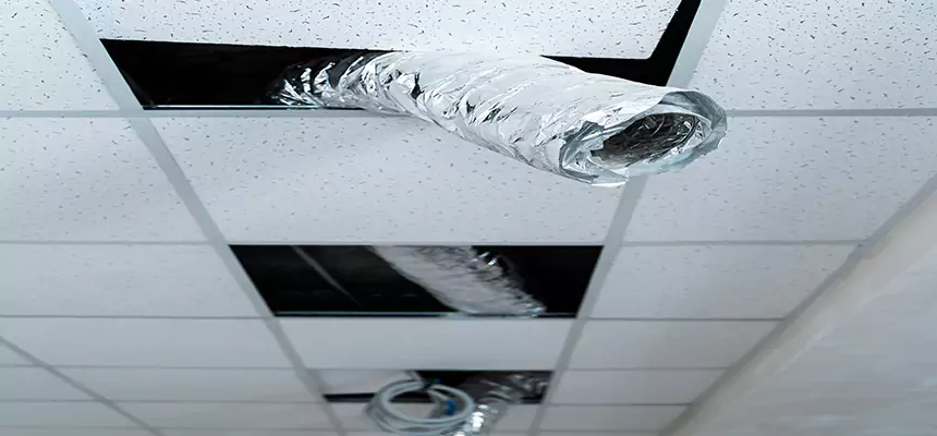 Our Air Duct Pet Hair Removal Services in Norristown, PA