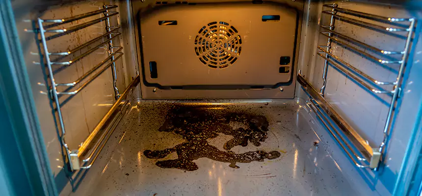 Our Dryer Vent Mold Cleaning Services in Norristown, PA