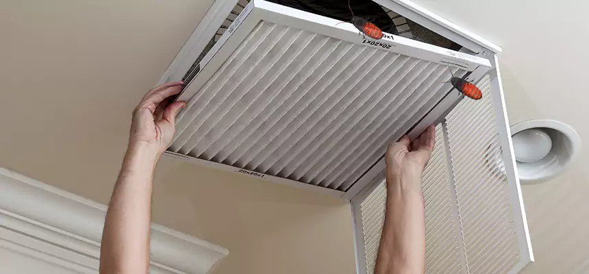 Our Insect Removal from Air Ducts Services in Norristown, PA
