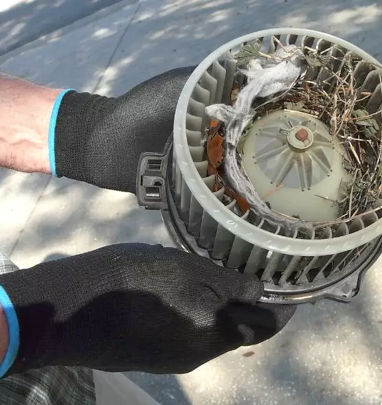 About Air Duct Rat Removal in Norristown, PA