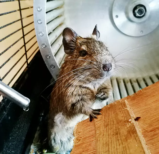 Why Homeowners & Businesses Trust Us Norristown, PA?